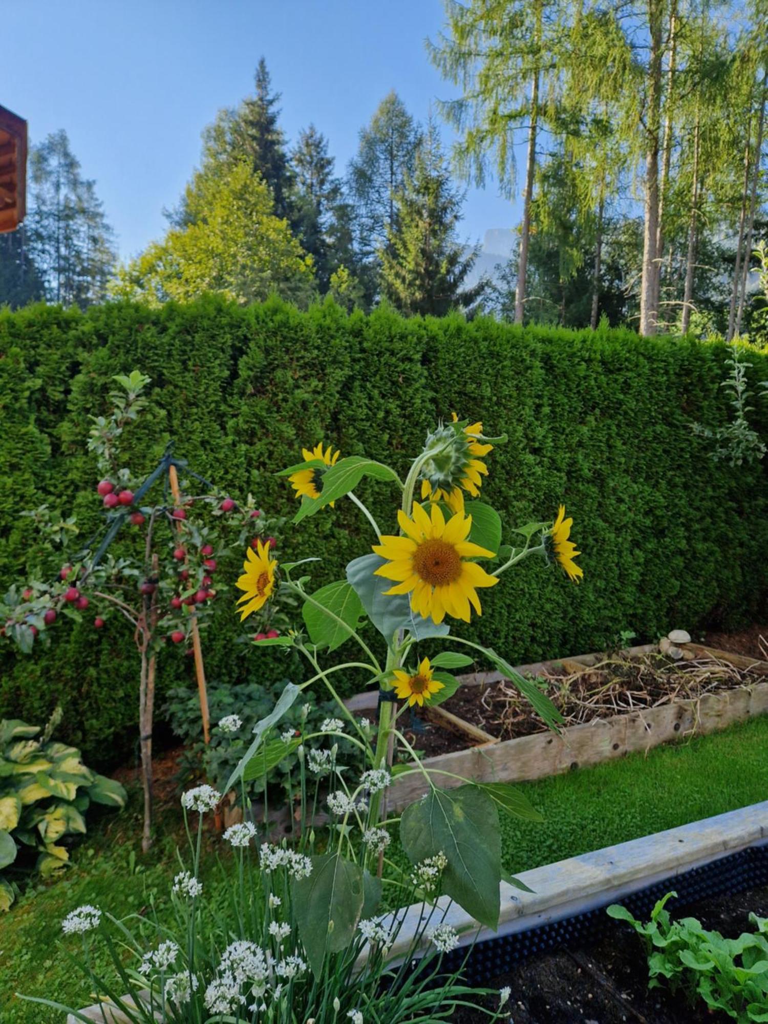 Apartament Haus Roland Zell am Ziller Zewnętrze zdjęcie